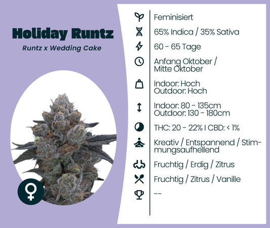 Holiday Runtz cannabis strain information, Indica-dominant, 20-22% THC, fruity and earthy aroma.