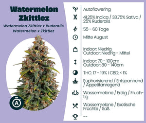 Watermelon Zkittlez Automatic