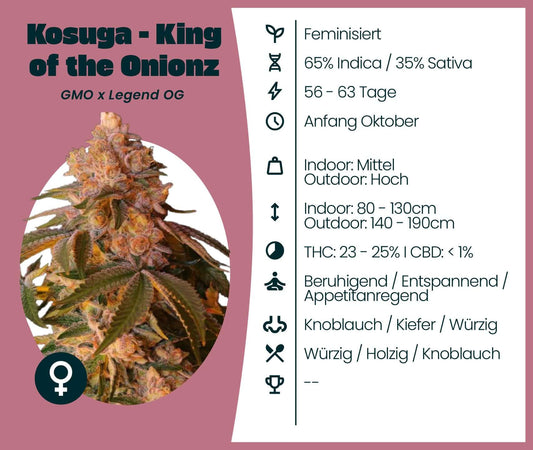 Kosuga - King of the Onionz cannabis seeds, a feminized Indica-dominant hybrid, strong relaxing effects.