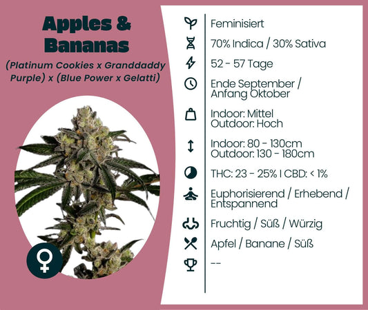 Apples & Bananas cannabis strain information with details on genetics, growth, and effects.