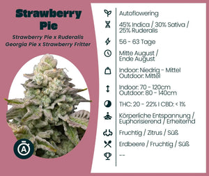 Strawberry Pie Automatic