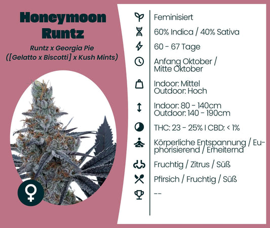 Honeymoon Runtz cannabis seeds info, hybrid strain with 23-25% THC for deep relaxation and uplifting effects.