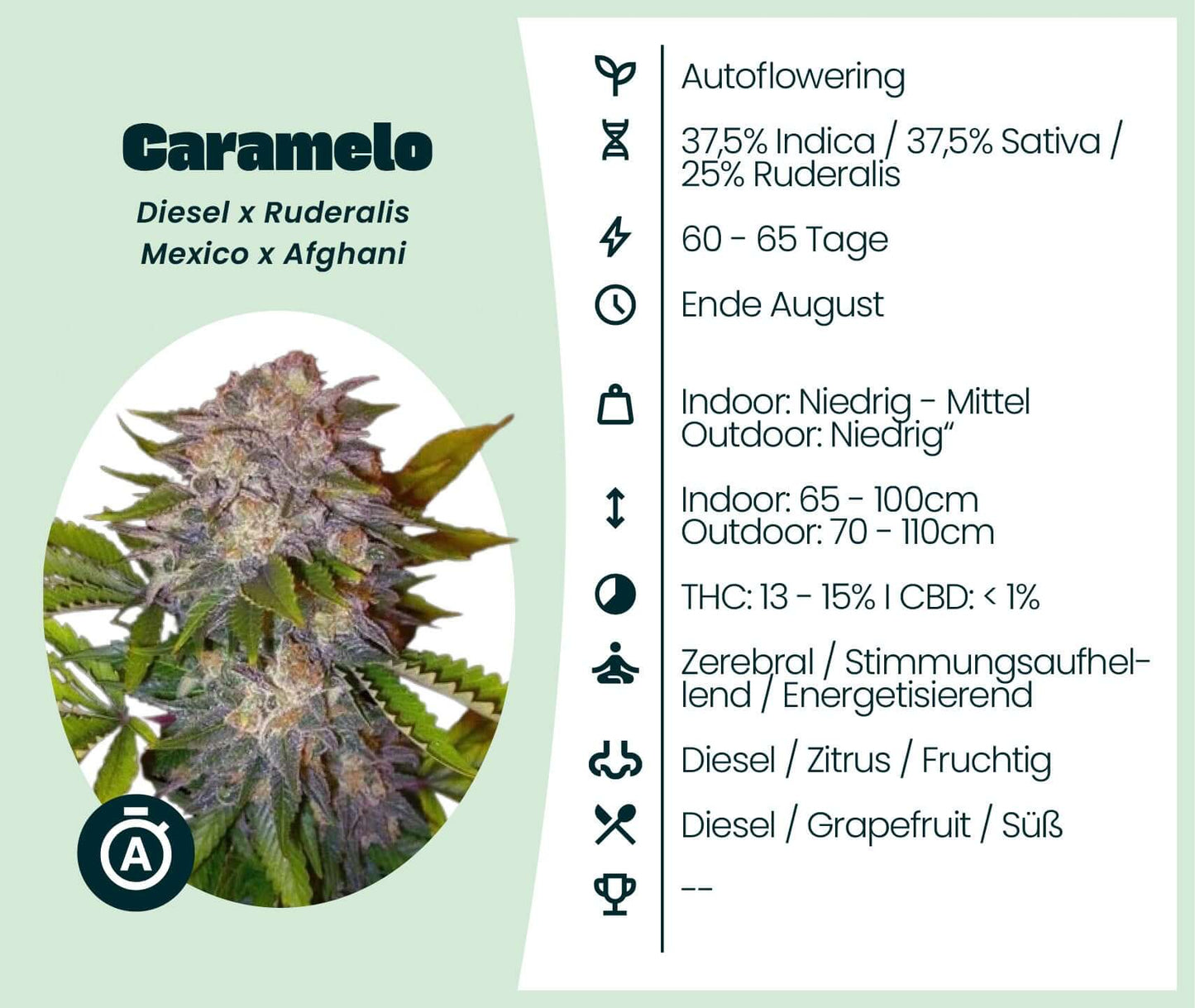 Autoflower Mix