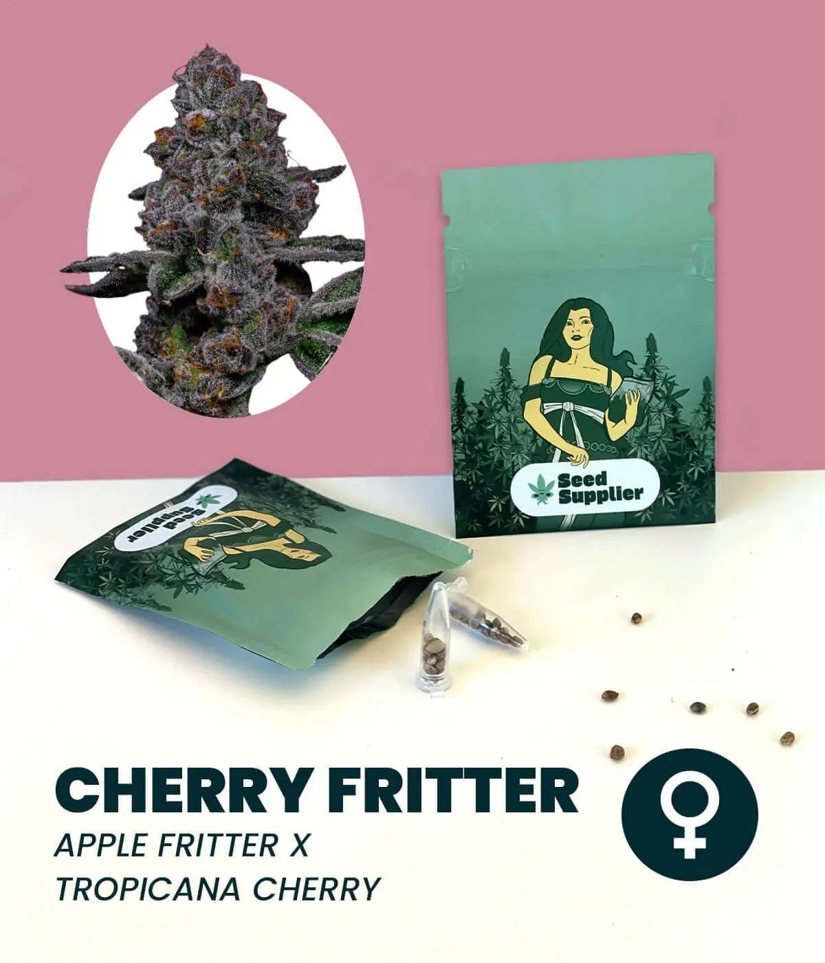 Cherry Fritter Cannabissamen Packung mit Blütenfoto, Samenverpackung und einzelnen Samen auf weißem Tisch vor rosa Hinterg...