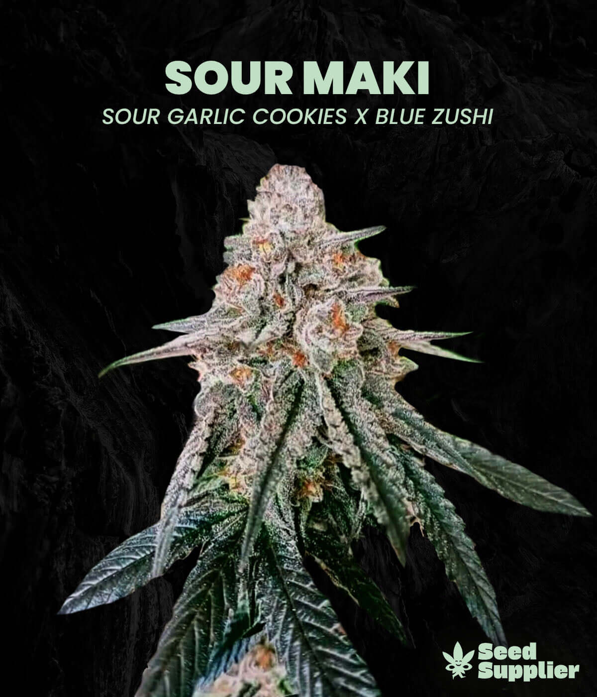 Sour Maki