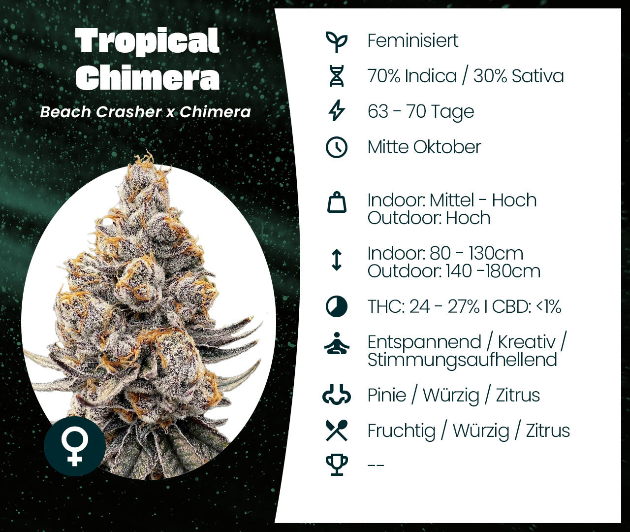 Tropical Chimera