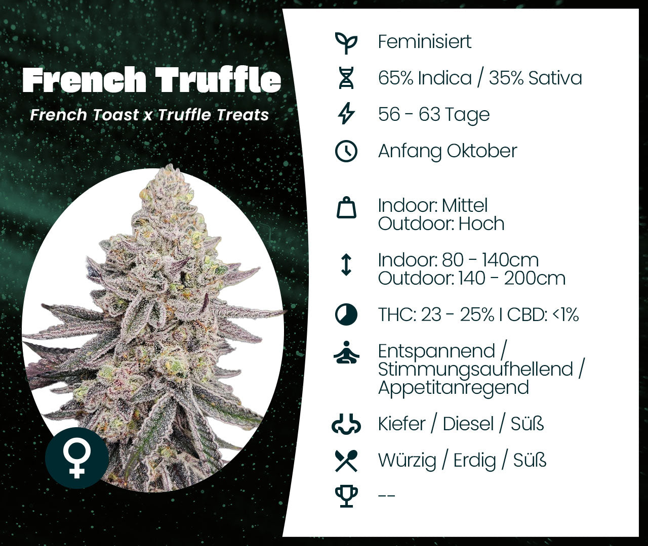 French Truffle