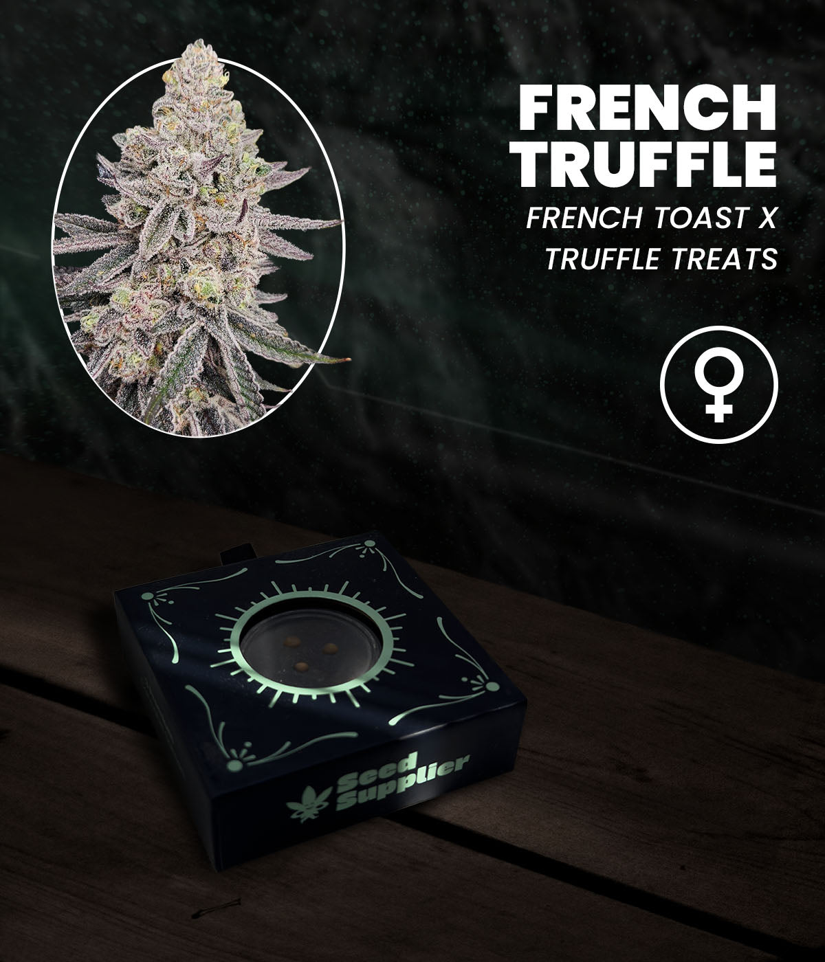 French Truffle