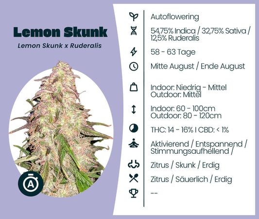 Lemon Skunk Automatic cannabis seeds details: 54.75% Indica, 32.75% Sativa, 12.5% Ruderalis, 58-63 days flowering, citrus aroma.