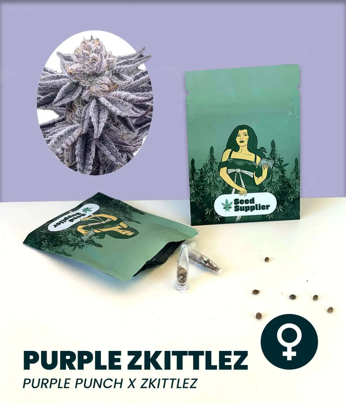 Purple Zkittlez cannabis seeds package with Purple Punch x Zkittlez strain image, featuring indica-dominant characteristics.