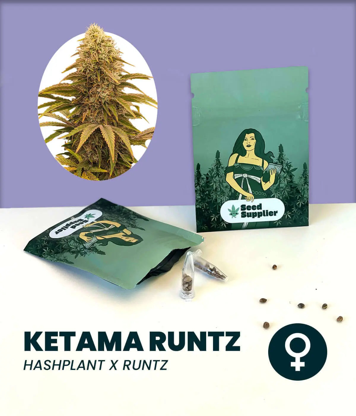 Ketama Runtz Cannabissamen mit Blütenfoto, Samenpackung und einzelnen Samen von Seed Supplier