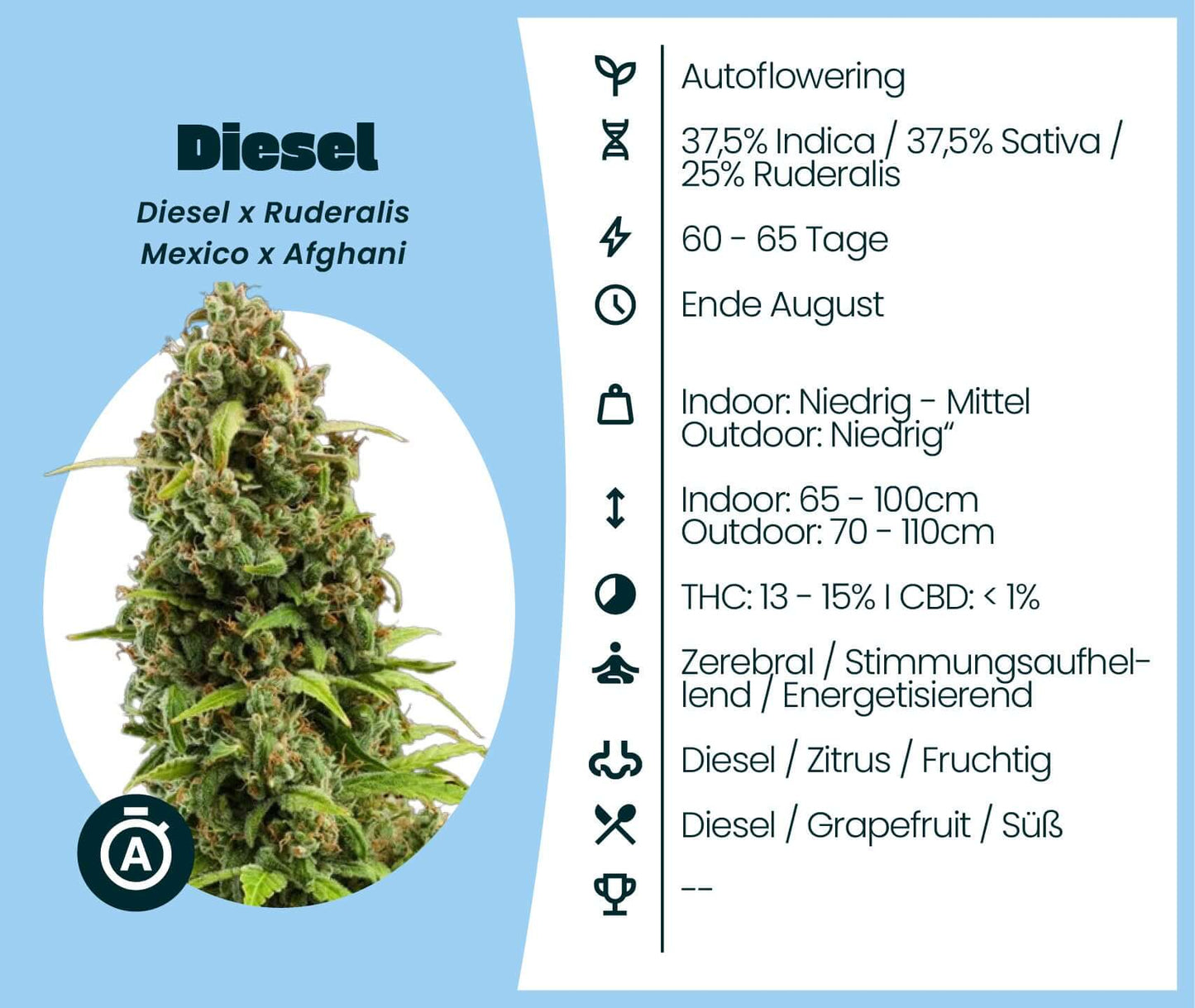 Diesel Automatic