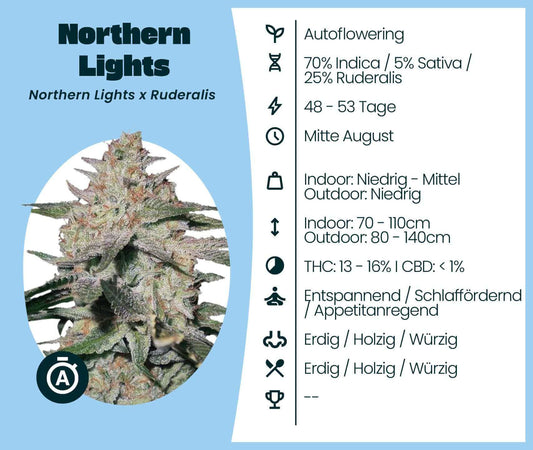 Northern Lights Autoflowering Cannabis-Samen, 70% Indica, mit erdigem, würzigem Geschmack, ideal für Innen- und Außenanbau.