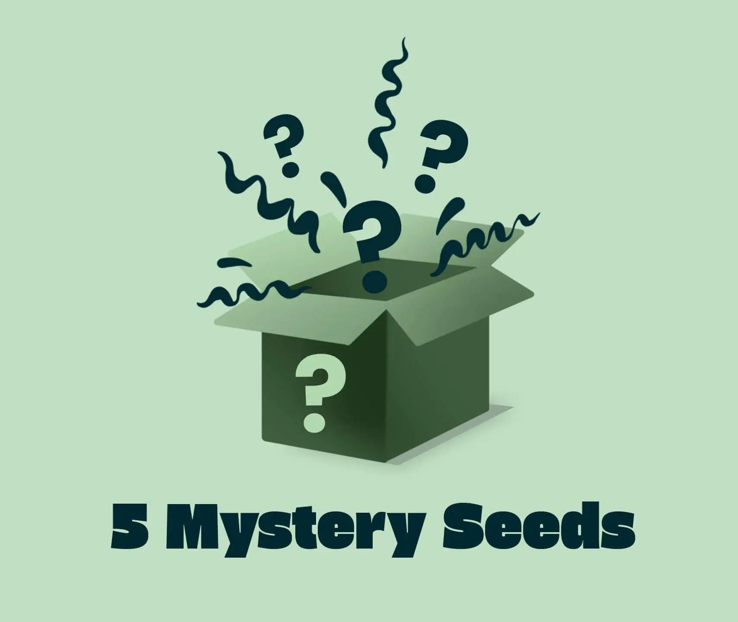 5 Mystery Seeds Seed Supplier GmbH