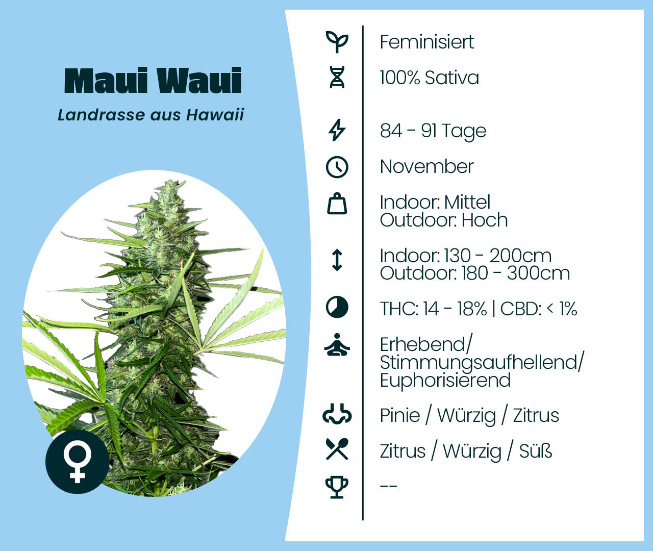 Gratis Samen - Maui Waui