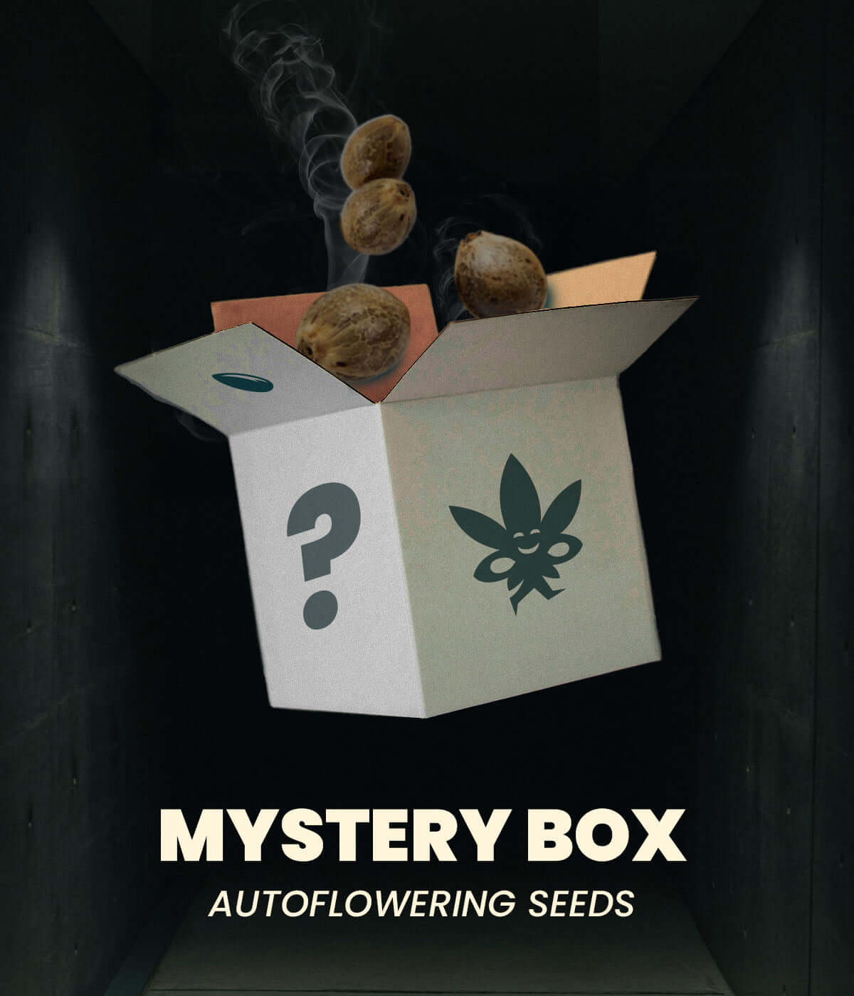Mystery Box - Autoflowering Samen