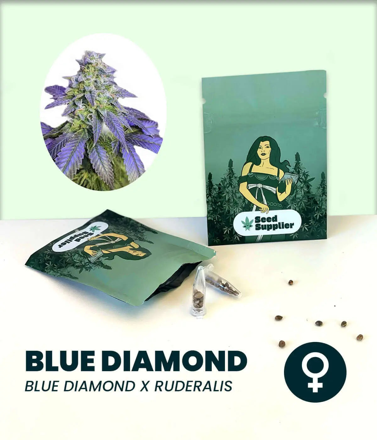 Blue Diamond Automatic cannabis seeds packaging with a cannabis plant illustration, featuring earthy and fruity flavors.