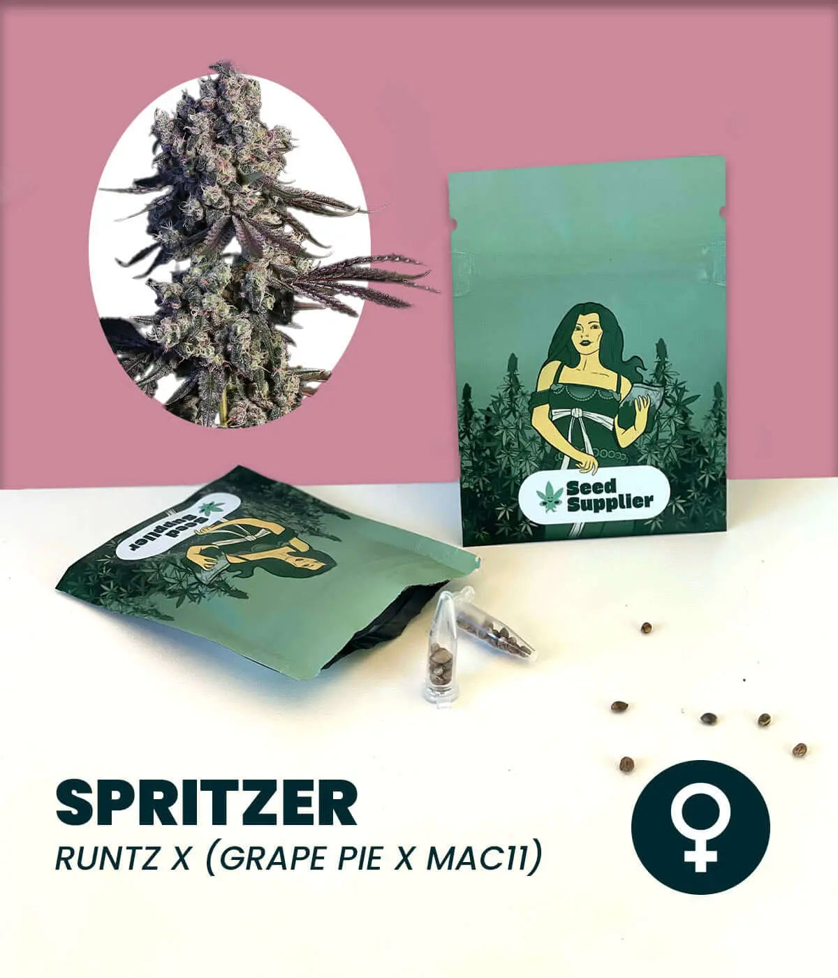 Spritzer cannabis seeds package featuring Runtz strain with earthy and fruity flavor profile.