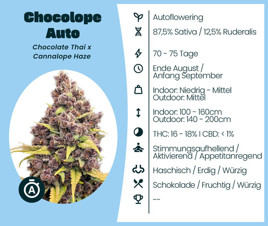 Chocolope Automatic