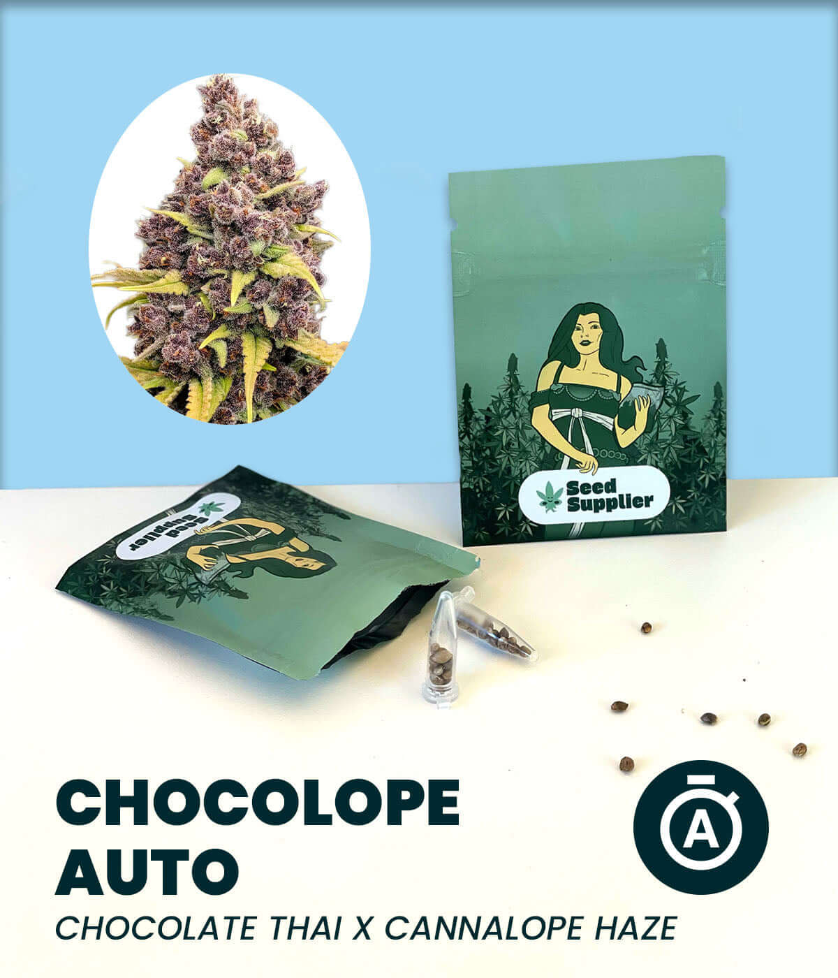 Chocolope Automatic