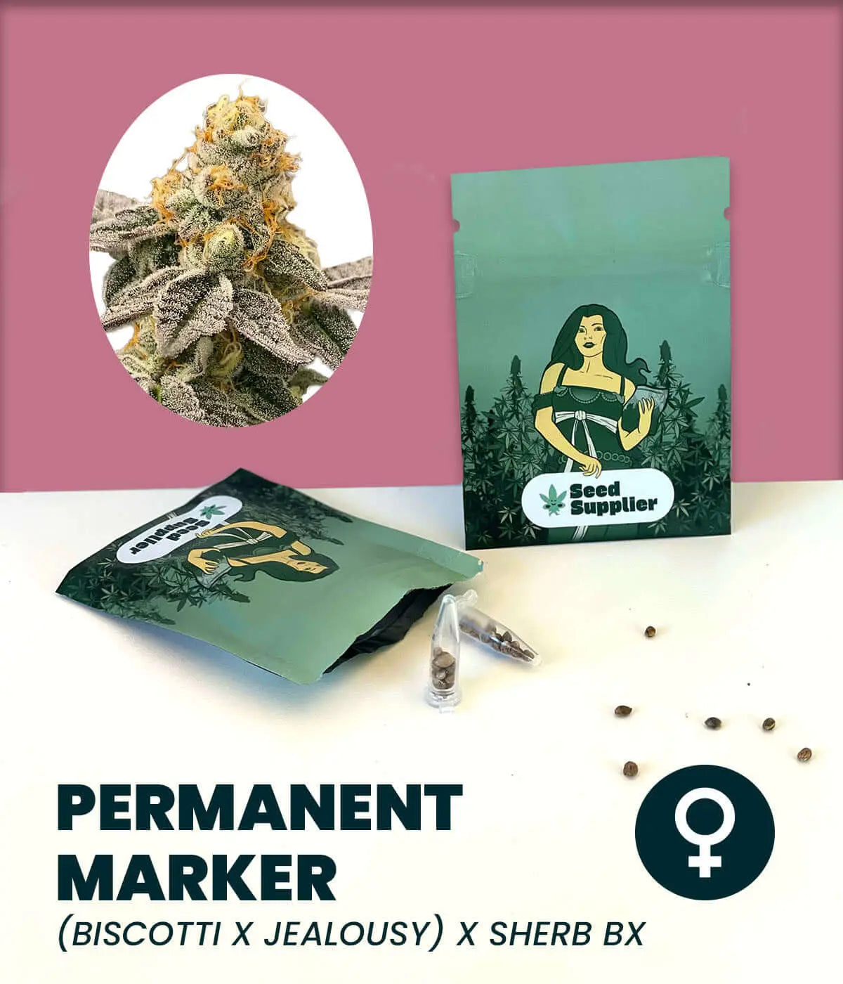 Permanent Marker - Cannabis Samen Seed Supplier