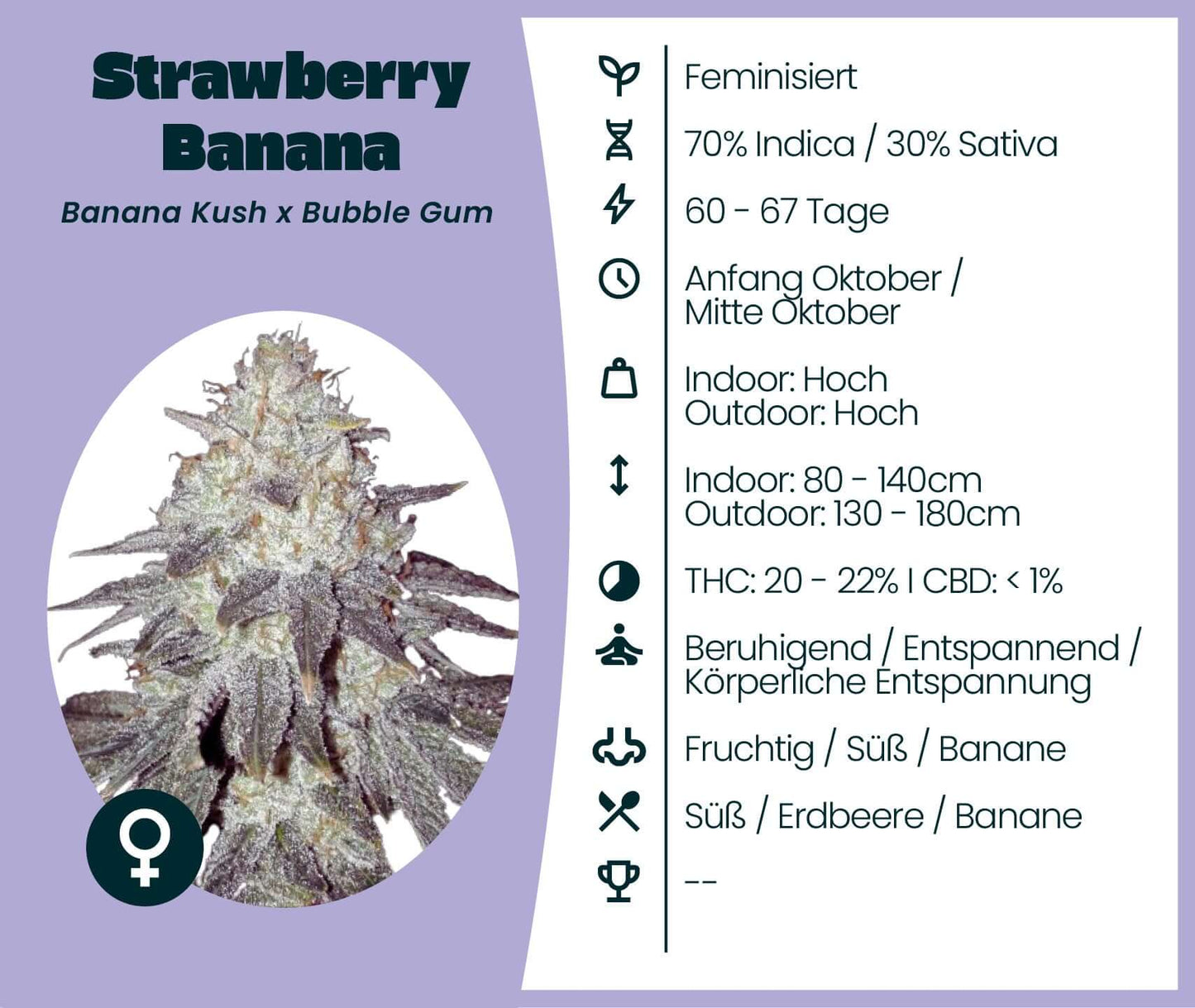 Cannabis-Samen: Strawberry Banana Sorte, 70% Indica, 30% Sativa, THC 20-22%, feminisiert, beruhigende Wirkung, Banana Kush x Bubble Gum