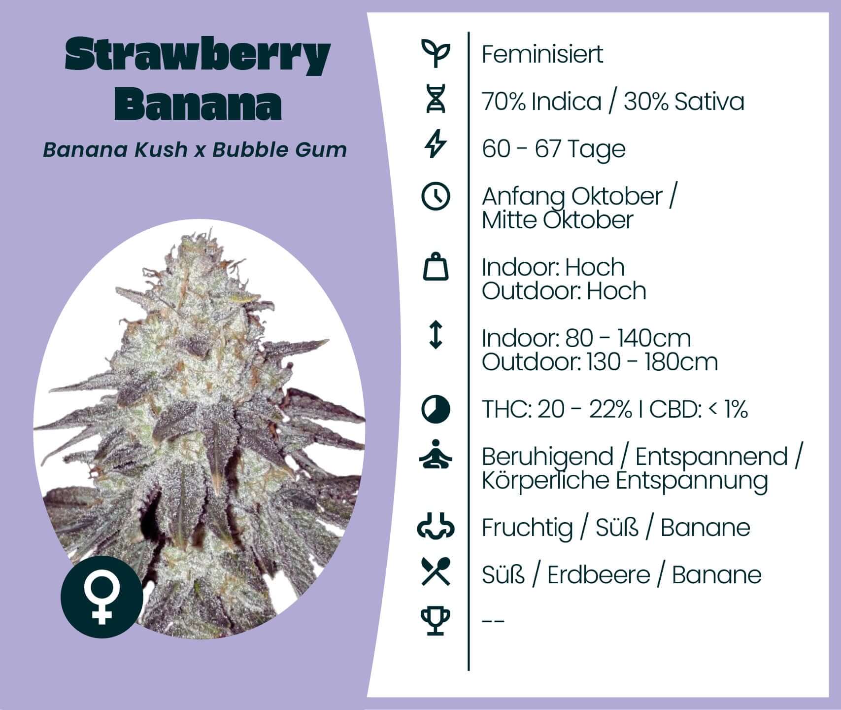 Cannabis-Samen: Strawberry Banana Sorte, 70% Indica, 30% Sativa, THC 20-22%, feminisiert, beruhigende Wirkung, Banana Kush x Bubble Gum