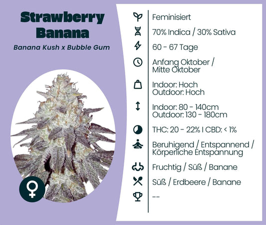 Cannabis-Samen: Strawberry Banana Sorte, 70% Indica, 30% Sativa, THC 20-22%, feminisiert, beruhigende Wirkung, Banana Kush x Bubble Gum