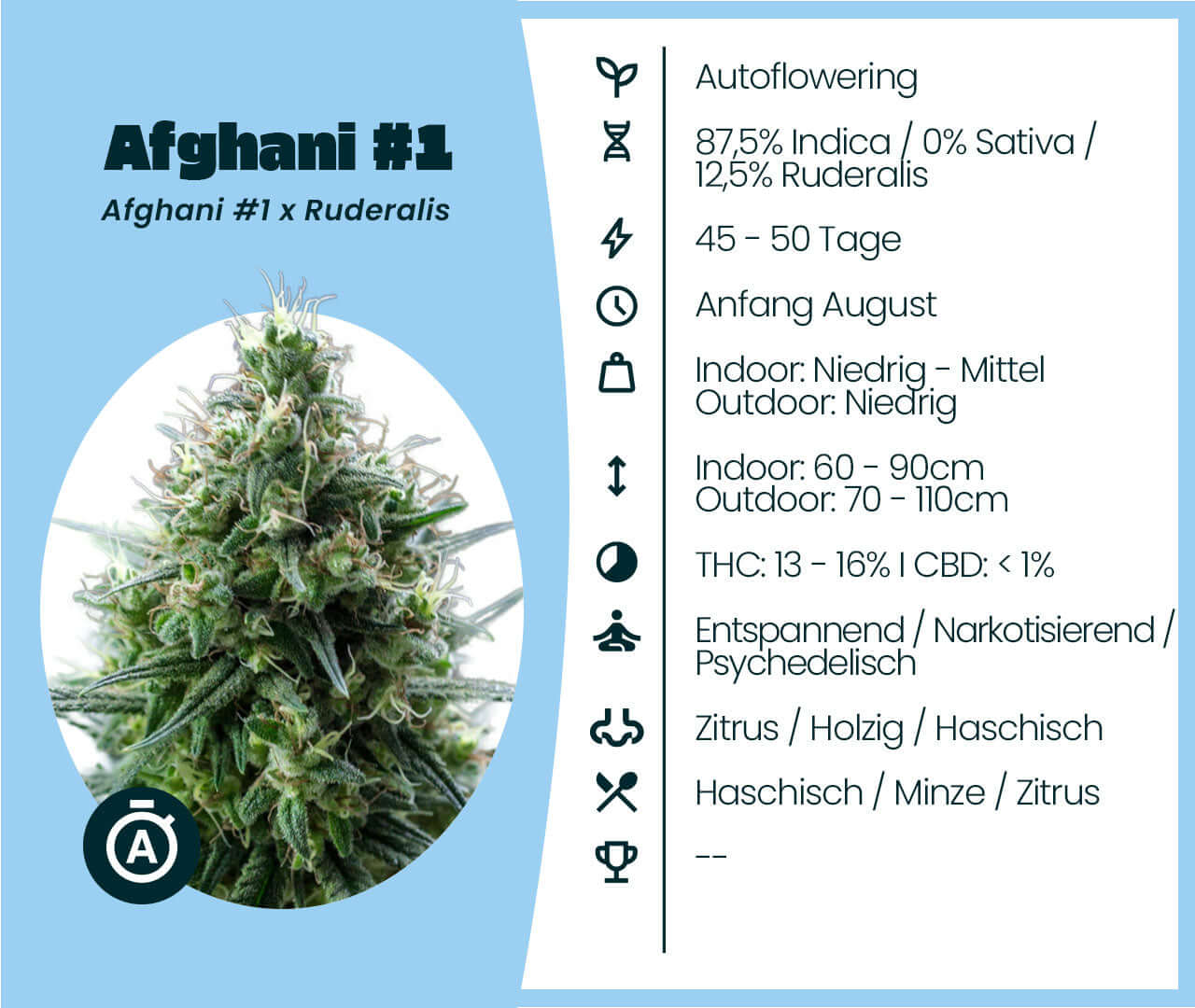 Afghani #1 Auto cannabis-seed details; 87.5% Indica, 45-50 days flowering, indoor/outdoor growth, 13-16% THC, hash aroma.