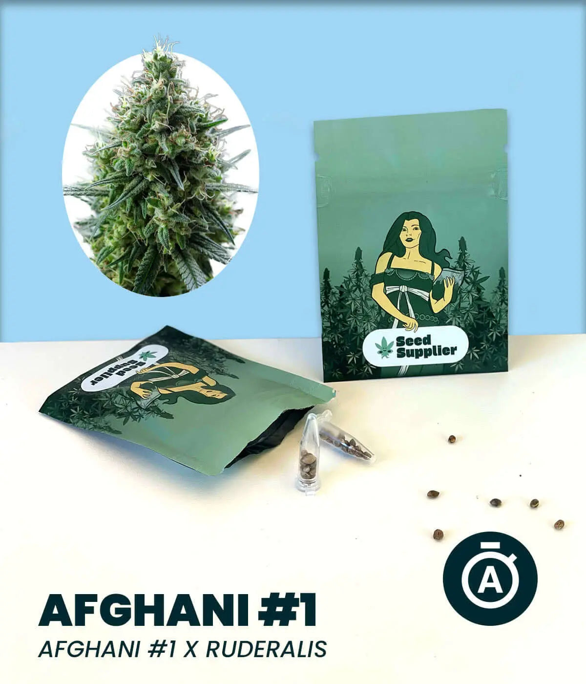 alt_tag Afghani #1 Automatic cannabis seeds with packaging, featuring Indica-dominant genetics and dense, hashy buds aroma.