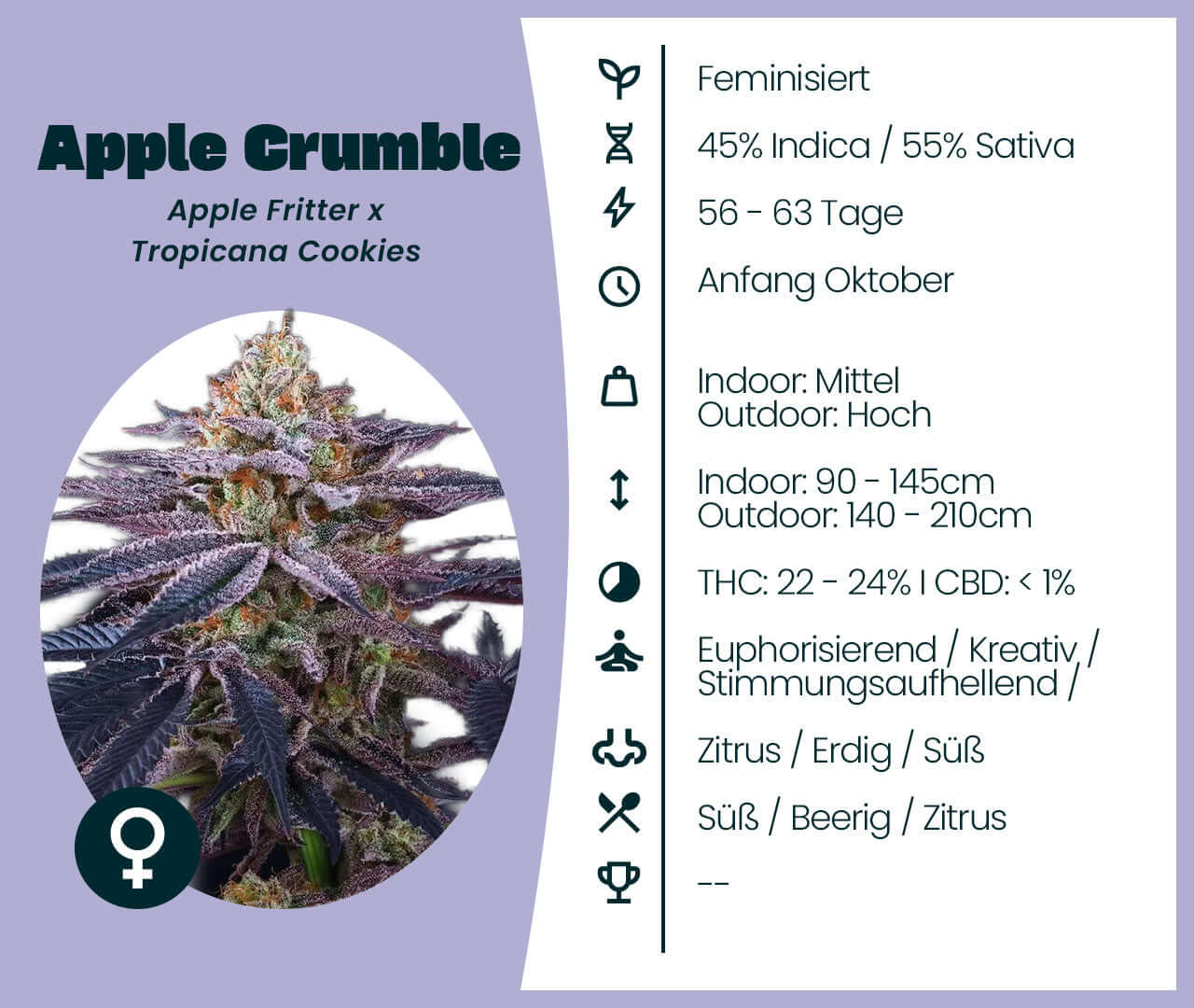 Apple Crumble