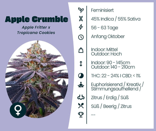 Apple Crumble cannabis seeds info; feminized hybrid, 45% Indica, 55% Sativa, 22-24% THC, Citrus, Fruity flavor.