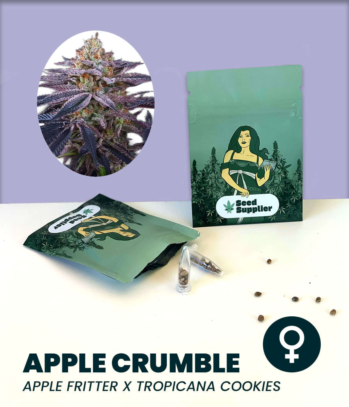 Apple Crumble cannabis seeds featuring Apple Fritter and Tropicana Cookies hybrid, with packaging and seeds displayed.