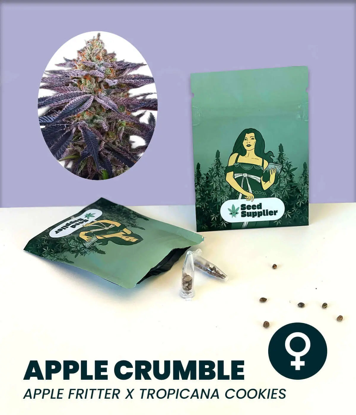 Apple Crumble cannabis seeds featuring Apple Fritter and Tropicana Cookies hybrid, with packaging and seeds displayed.