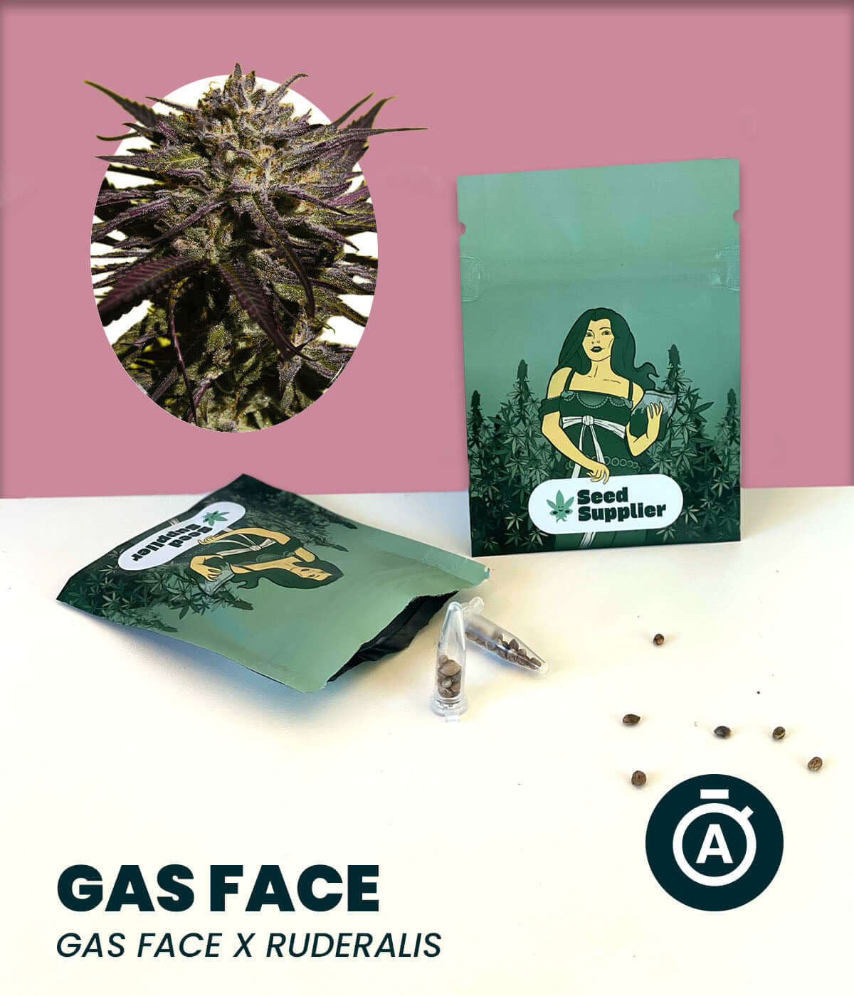 Cannabis-Samen Gas Face Auto seeds with Indica-dominant blend, Gas Face x Ruderalis packaging shown, ideal for quick harvests.