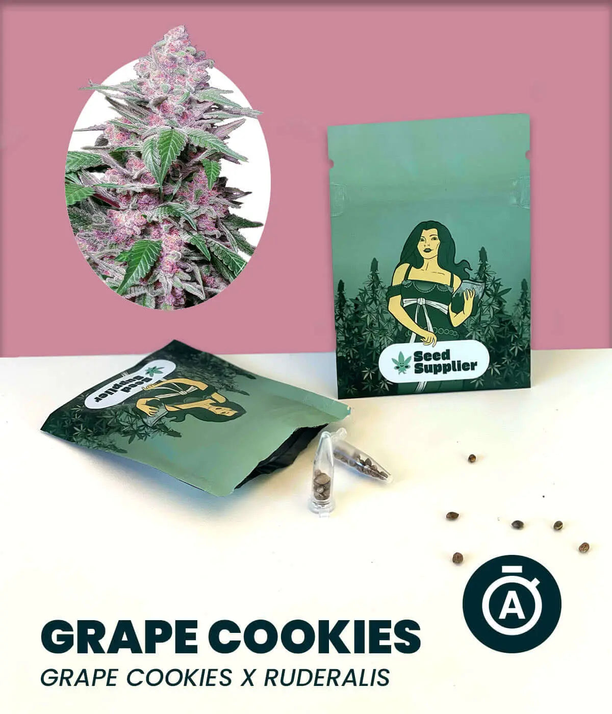 Cannabis seeds packaging of Grape Cookies Automatic, with illustration and cannabis plant details, by Seed Supplier.
