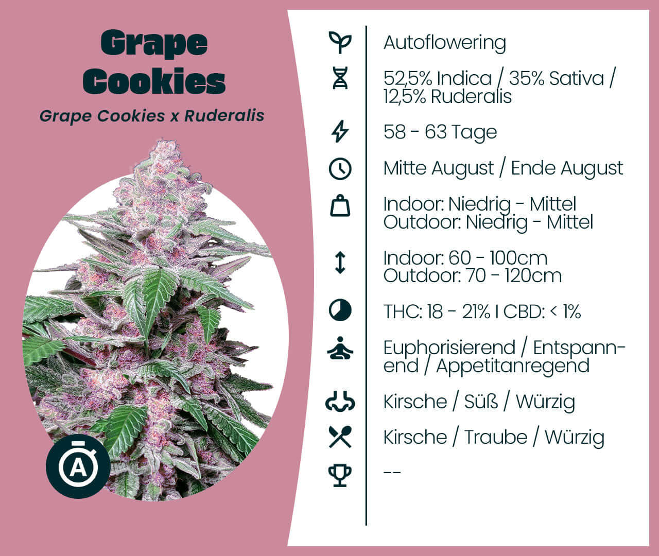 Grape Cookies Automatic cannabis seeds with details on Indica-Sativa ratio, flowering time, and effects, featuring a vibrant plant image.