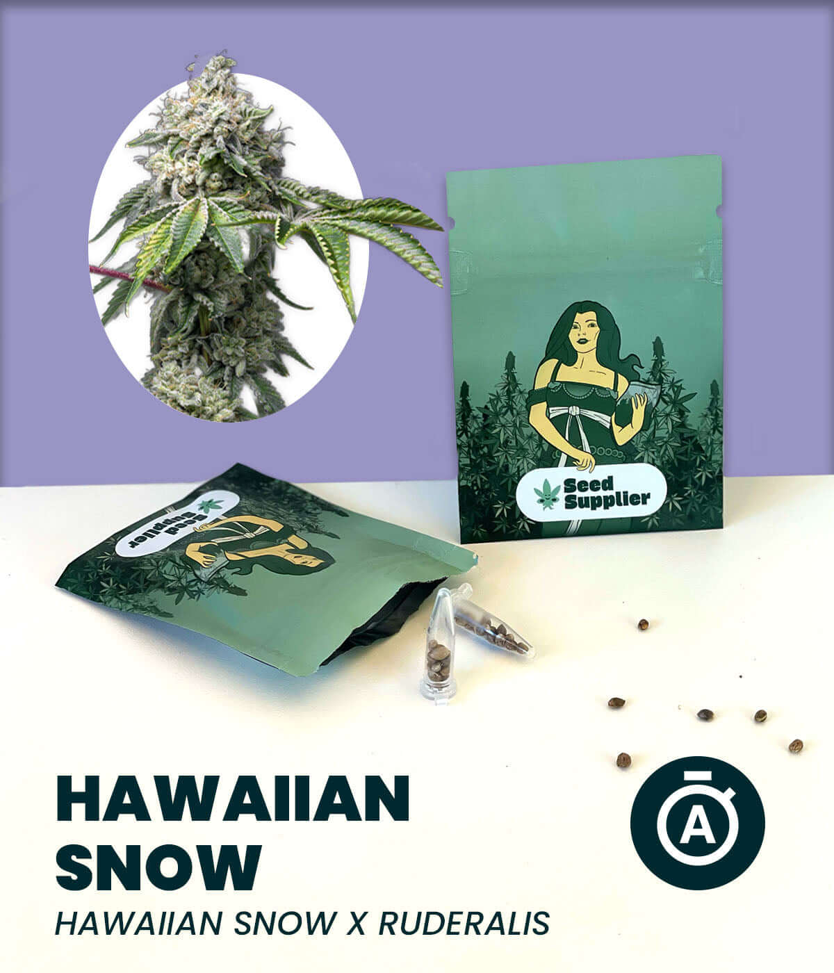Hawaiian Snow Automatic cannabis seeds packaging with a close-up of the Sativa-dominant plant. Includes Seed Supplier branding.