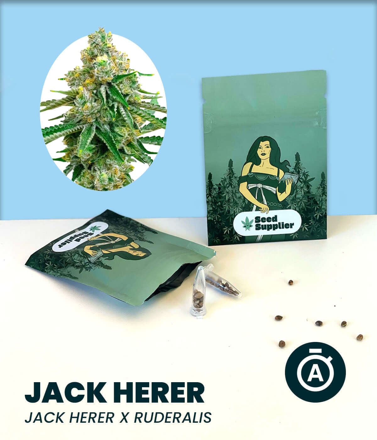 Jack Herer Automatic cannabis seeds with packaging and visual of plant, featuring Jack Herer x Ruderalis blend from Seed Supplier.
