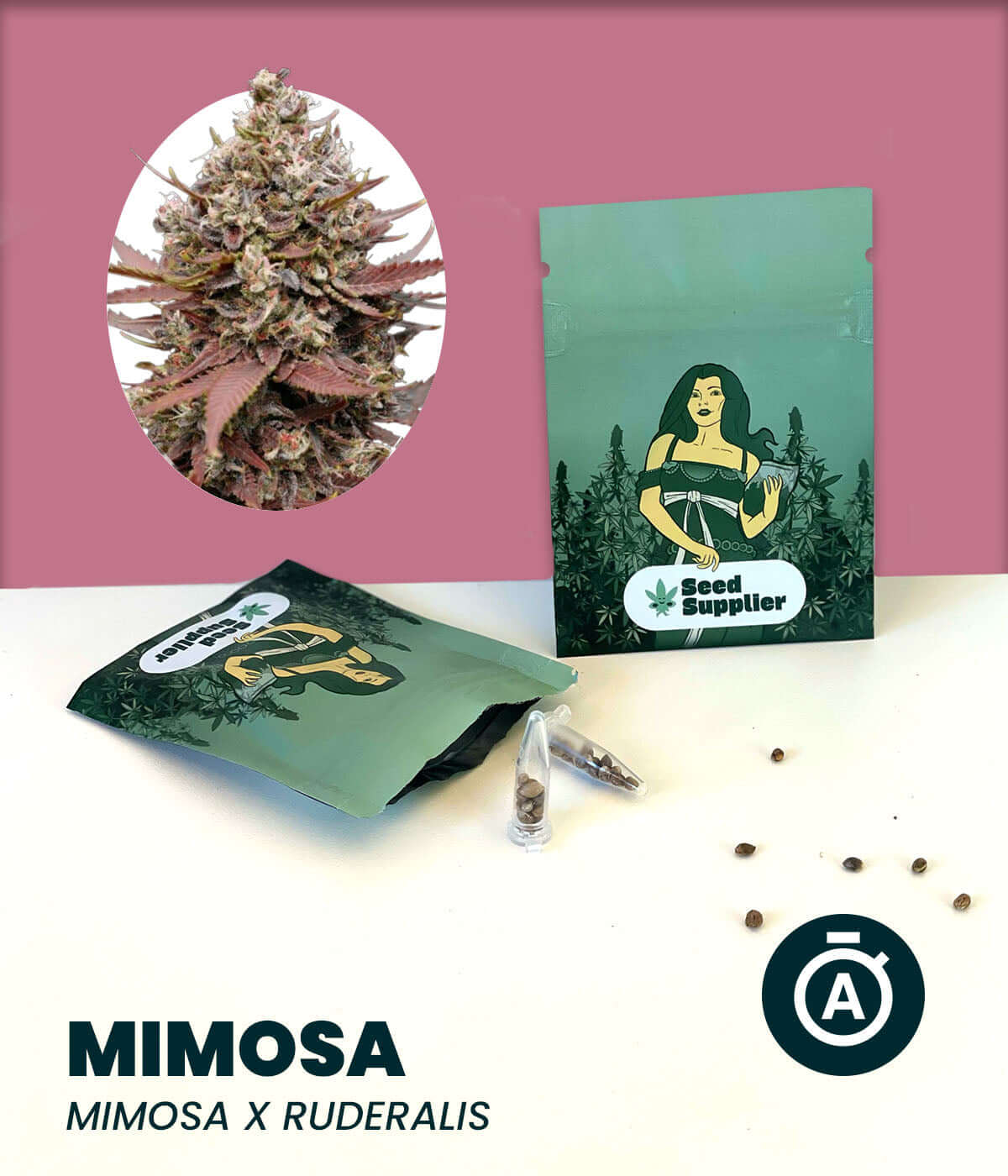 Cannabis-Samenpackung der Sorte Mimosa Automatic, Sativa-dominierte Autoflower mit Zitrusaroma, Mimosa x Ruderalis.