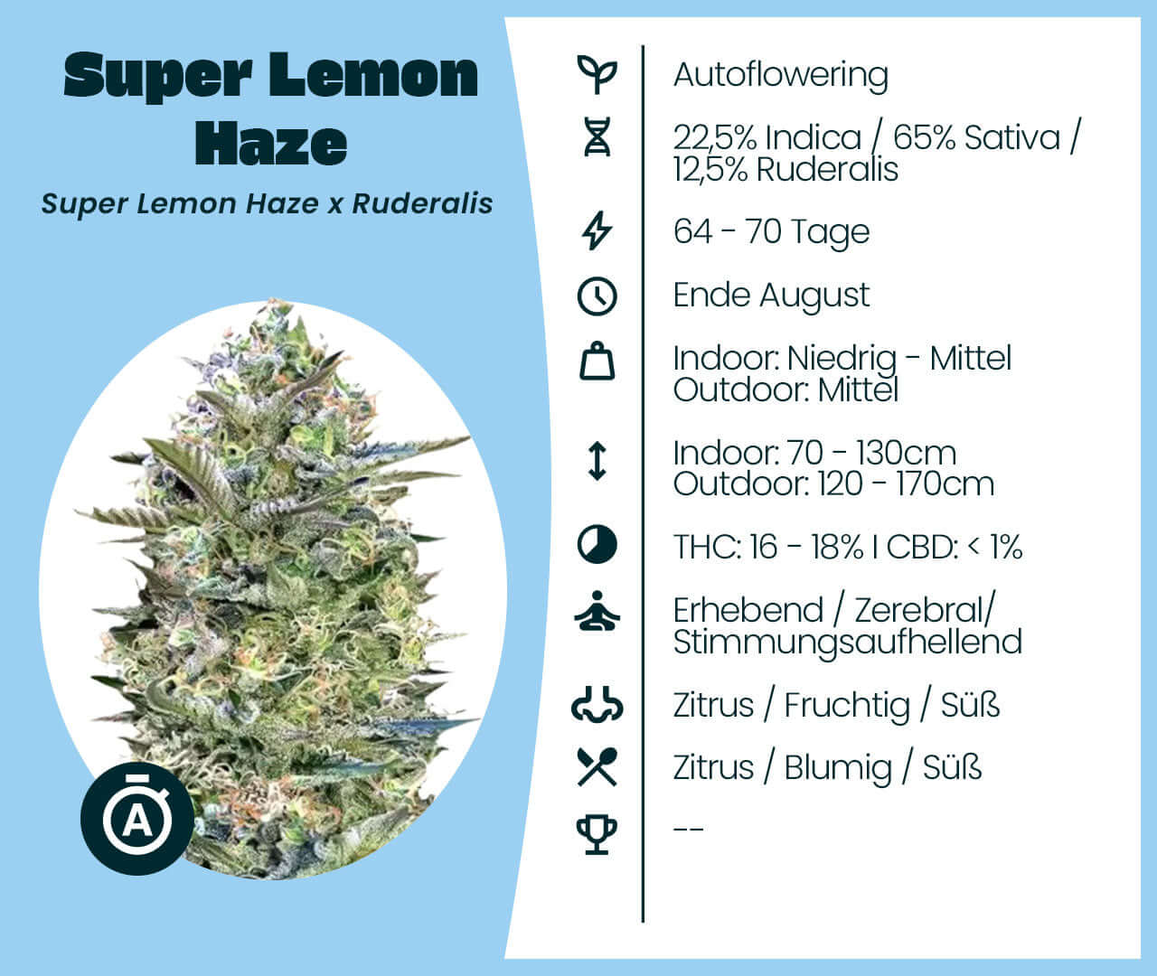 Super Lemon Haze Automatic cannabis seeds with citrus notes and 65% Sativa, 22.5% Indica, 12.5% Ruderalis blend details.