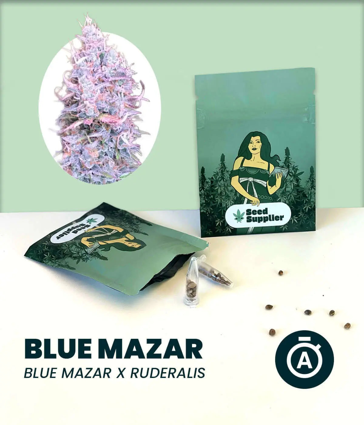 Blue Mazar Automatic cannabis seeds packaging and bud with calming properties.