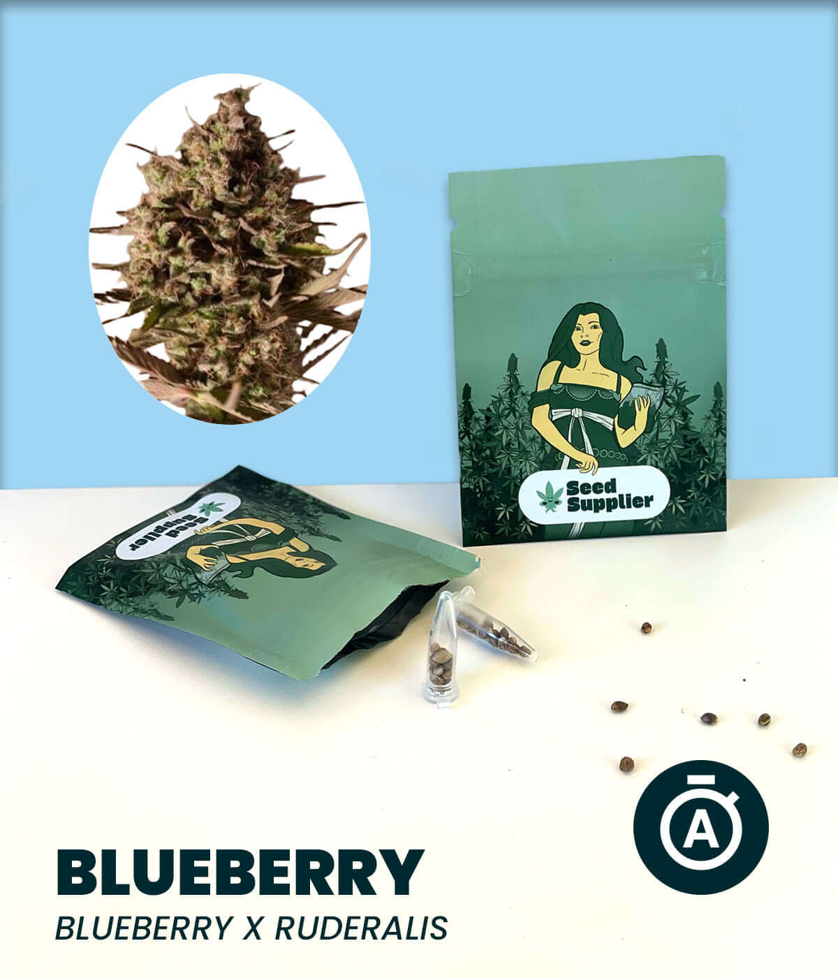 Cannabis-Samen Blueberry Automatic packaging with seeds and plant illustration, featuring Blueberry x Ruderalis for a balanced high.