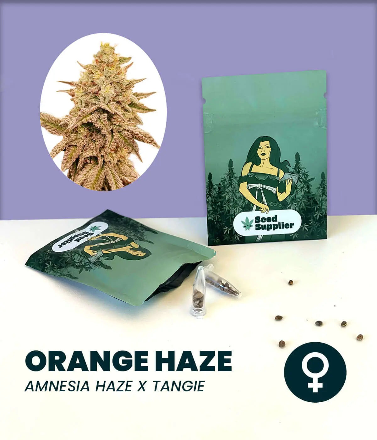 Orange Haze cannabis seeds packaging with Amnesia Haze and Tangie cross, showcasing vibrant indica and sativa mix.