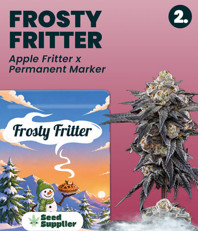 Gratis Cannabis Samen - Frosty Fritter