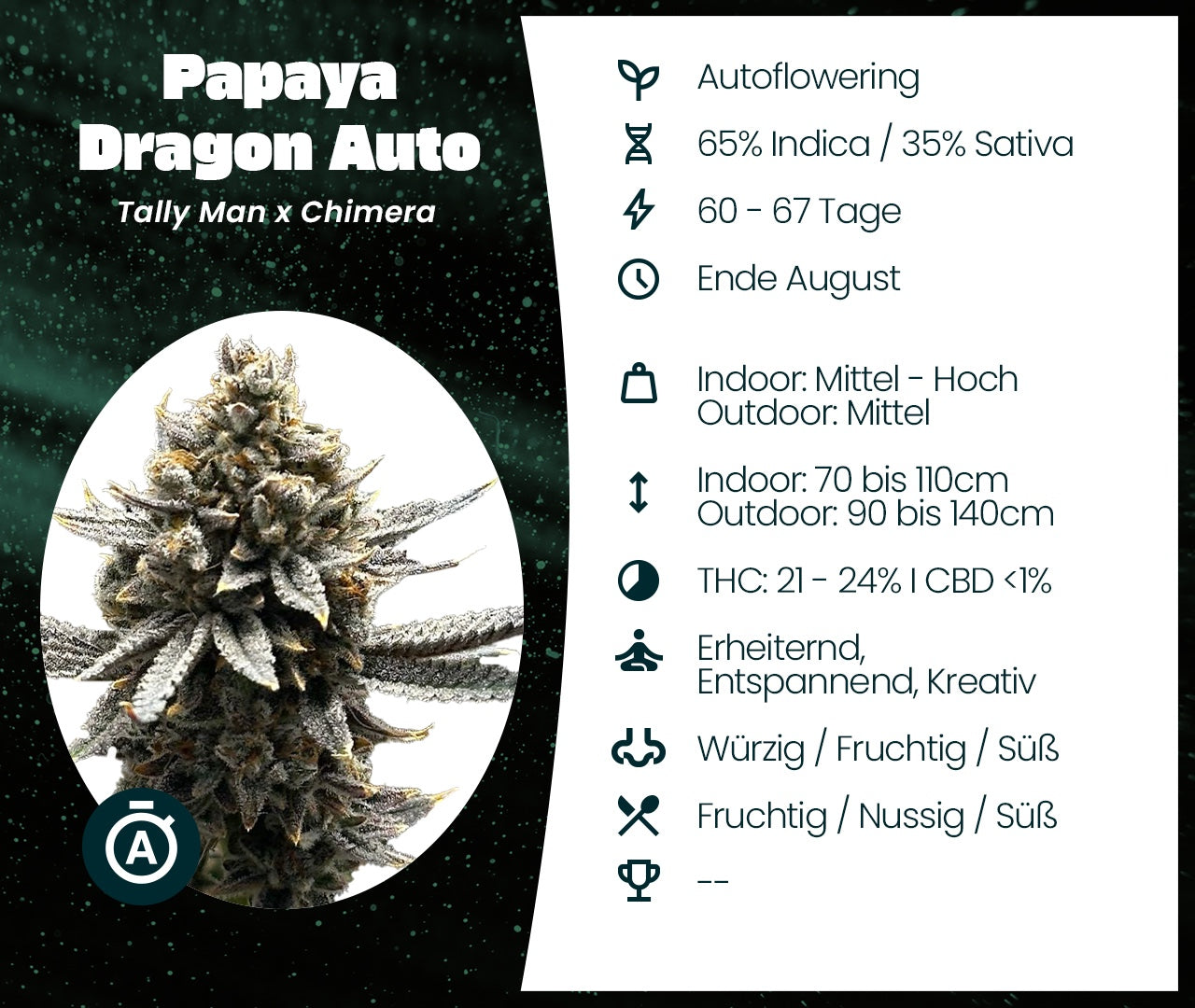 Gratis Cannabis Samen - Papaya Dragon Auto