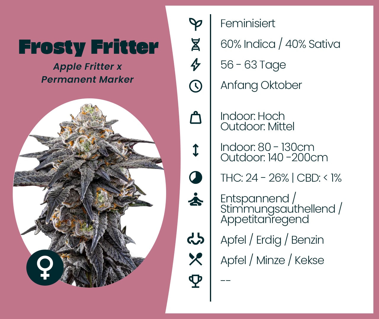 Gratis Cannabis Samen - Frosty Fritter