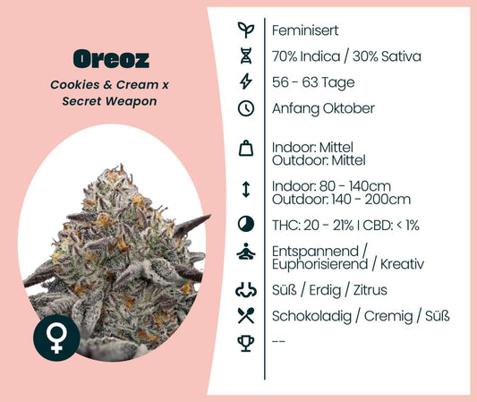 Oreoz cannabis strain information, feminized, 70% Indica, relaxing effects, THC 20-21%, citrus, sweet profile.