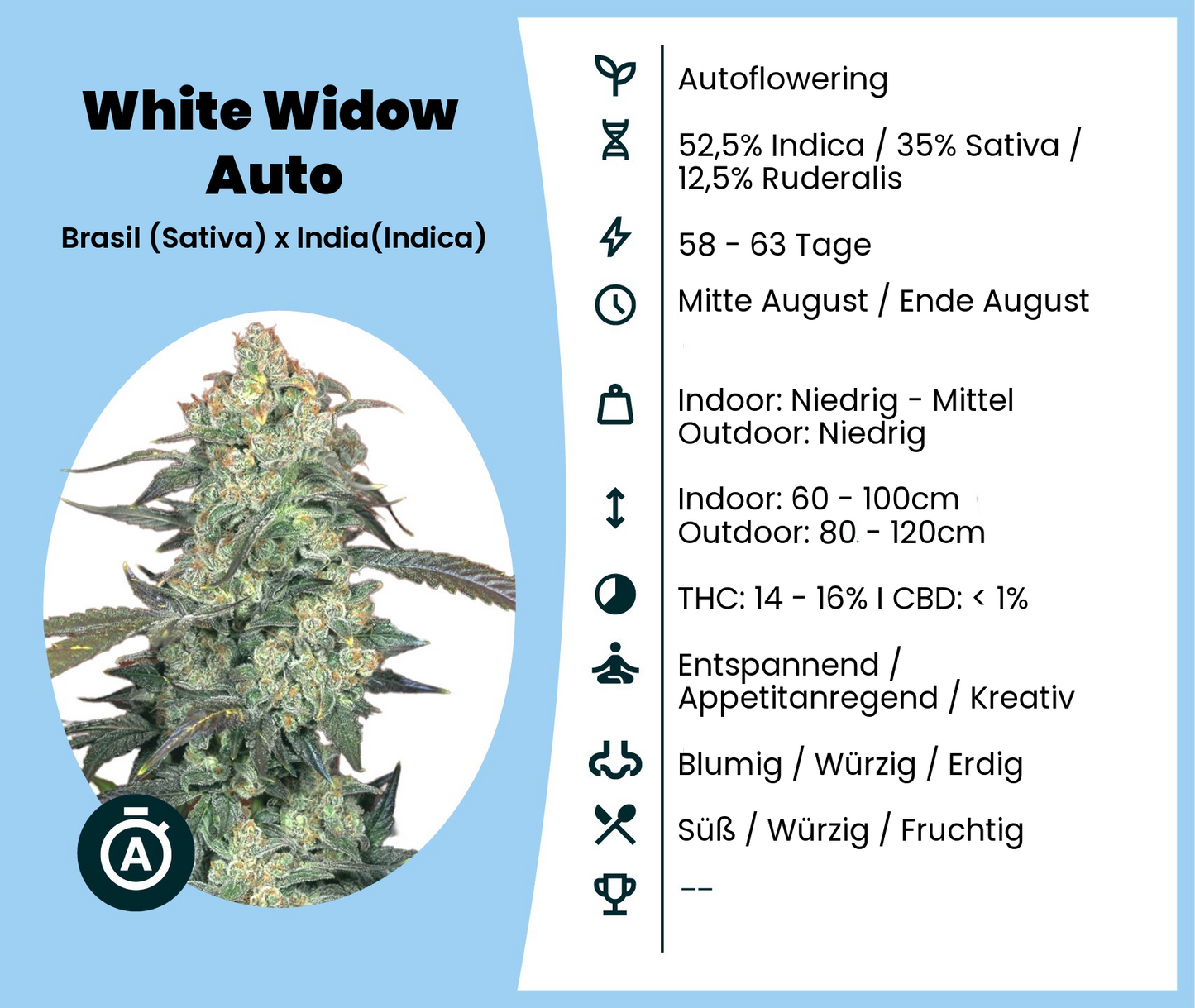Gratis Samen - White Widow Automatic