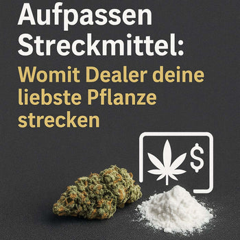 Aufpassen, Streckmittel: Womit Dealer deine liebste Pflanze strecken